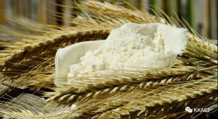哈薩克斯坦麵粉